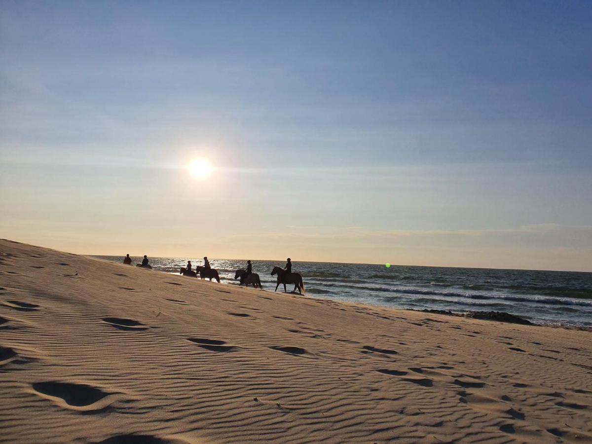 Beachhouse Renesse 2645 Экстерьер фото